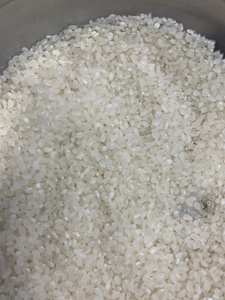 Riz Shiratake Japonais Professionnel OEM, Faible en Glucides, Régime Céto, Konjac Miracle, Texture Dure Séchée, Haute Qualité, Achat en Gros - Product Image 2