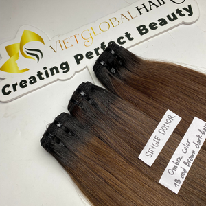 Venta al por mayor de extensiones de cabello humano vietnamita natural Ombre HD Cierre 5x5 y paquetes - Product Image 1