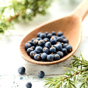 Wholesale Supply For Private <b>Label</b> Brands Premium Quality Bulk Natural Dried Juniper Berries 2026 New Season Organic - Product Image 2