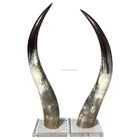 Meilleure pièce décorative en corne de taureau pour la décoration de table et de mur, longue corne de bœuf naturelle, corne de buffle pour la maison, fabriquée en Inde