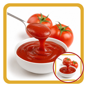 Factory In Vietnam Delicious Best Selling International Standard Competitive Price Tomato <b>sauce</b> Packed in 2L Bottle - Product Image 6