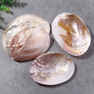 วัสดุเปลือกหอยและไข่มุกหลากหลายชนิด - Product Image 1