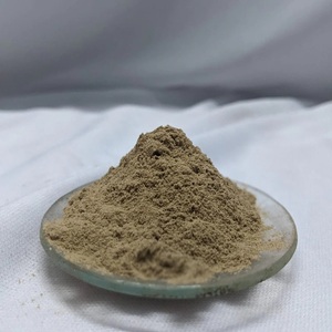 Poudre de fruit d'Amla biologique en gros directement de l'usine 10:1 Extrait de sureau indien Qualité alimentaire Halal/Kosher - Product Image 1