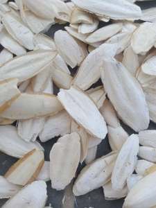 Vietnam Cuttlebone Natural Cuttlefish Bone for Pet <b>Bird</b> <b>Cage</b> Hanging Parrots Budgies Beak Grooming Calcium Feed Supply - Product Image 1