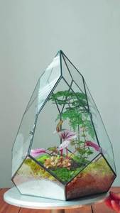 Customized Designer Metal And Glass Terrarium Modern Glass Planter for Indoor Plants, Succulents, Air Plants & DIY Terrarium - Product Image 4