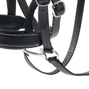 Licol en cuir rembourré doux pour chevaux, haute qualité, vente en gros, fabricant, design confortable, logo personnalisé, ODM, couleurs uniques, 2026 Fizzan - Product Image 6
