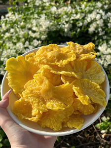 SOFT DRIED PINEAPPLE <b>RINGS</b>/SLICES/CHUNKS - Product Image 6