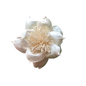 Flor de Madera Sola VADEE, Hecha a Mano, Sostenible, ANIKA, Flor de Madera Sola de 8.5 CM, Fibra de Planta de Sesbania, Modelo VDXXX-030 - Product Image 4