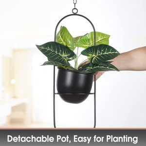 Ensemble de 2 suspentes à plantes ovales noires en métal avec pots de fleurs de 6 pouces, supports modernes pour plantes murales et de plafond - Product Image 2