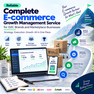Service de gestion de la croissance e-commerce complet et évolutif pour les vendeurs de produits et les boutiques en ligne - Product Image 4