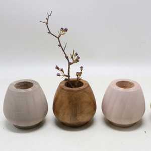 Station de propagation en bois avec ensemble de vases de test pour plantes hydroponiques, décoration moderne pour la maison et le bureau - Product Image 4