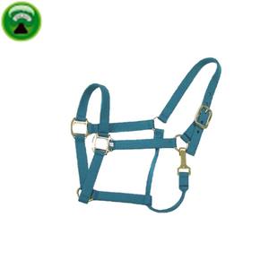 PP fantaisie coloré cheval licous pour un cheval - Product Image 4