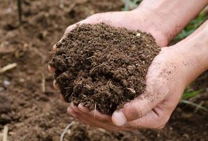 Coconut <b>Coir</b> <b>Block</b> High Water Retention Organic Potting Soil for Plant Growing with Good Aeration Natural Soil Amendment - Product Image 1
