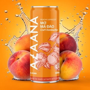 Peach Apricot Craft Kombucha Drink Sweet Flavored Fermented Tea <b>Beverage</b> Ready to Drink OEM Bulk Supply - Product Image 6