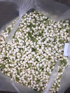 Des bourgeons de jasmin séchés du Vietnam soigneusement sélectionnés, pleins de parfum, parfaits pour les infusions de thé et les produits de bien-être - Product Image 5