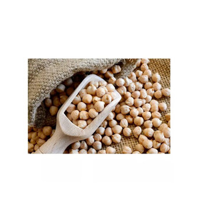 Pois chiches fiables de qualité constante pour la production de houmous, de pâtes et de snacks - Product Image 1