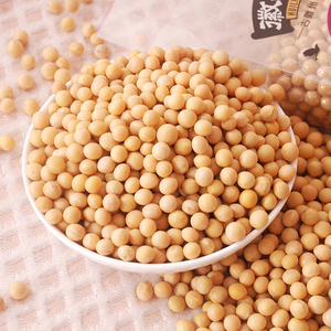 Soja naturel en vrac prêt à l'exportation pour l'industrie alimentaire et les acheteurs commerciaux - Product Image 6