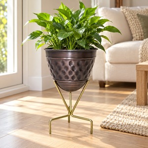 Jardinière en fer moderne avec support, nouveau design, petite jardinière d'intérieur pour plantes d'intérieur et jardin domestique, idéale comme cadeau, décoration haut de gamme - Product Image 1