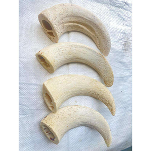 Núcleo de Cuerno de Búfalo Puro de Alta Calidad para Perros, Snack Natural Ecológico Hecho a Mano para el Cuidado Dental, Larga Duración, para Perros Pequeños y Grandes - Product Image 6