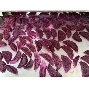 Fruta del Dragón Deshidratada en Láminas de Vietnam, Envasada al Vacío a Granel, Marca Privada, 1 kg, 100% Natural - Product Image 2
