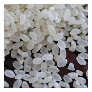 Arroz Japonica a Granel en Bolsas de 25kg/50kg |   Arroz de Grado Alimenticio al por Mayor para Exportación, Venta al por Menor y Catering |   Sin OMG, Limpio y de Grado Premium - Product Image 1