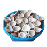 Prix d'usine en gros IndoCopra KP01 Copra de noix de coco blanche naturelle de qualité supérieure (Fabricant de copra séchée) Indonésie Qualité alimentaire 2 2