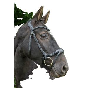 Horse Freedom Comfort Brida con Flash-Cuero Negro Tamaño Cob - Product Image 1