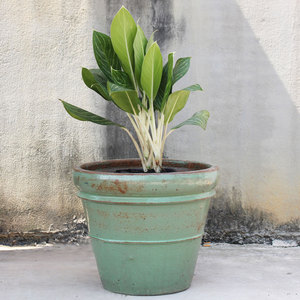 Pots et jardinières en céramique artisanaux écologiques fabriqués au Vietnam avec trou de drainage pour la décoration de la maison et du jardin, logo personnalisé - Product Image 3