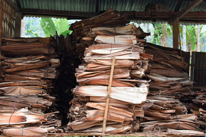 Vaisselle en feuilles de palmier naturelles, assiettes et bols jetables, solution durable pour la restauration, meilleur prix, approvisionnement au Vietnam - Product Image 5