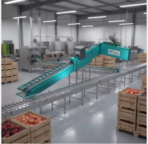 Machine de tri motorisée pour la transformation des fruits (pommes), légumes et produits laitiers, capacité 1500 kg, avec inspection par vision et vidéo - Product Image 3