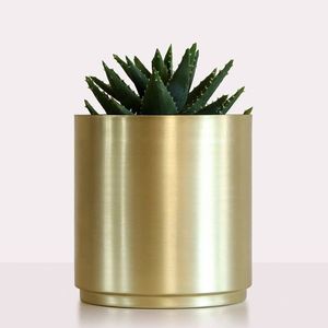 Pot de fleurs minimaliste en fer doré pour plantes succulentes d'intérieur, design circulaire, finition plaquée or - Product Image 1
