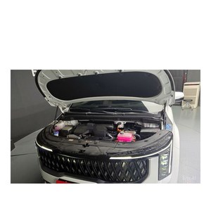 Kia Carnival HEV 9 places 2024, Limousine haut de gamme, 12 035 km, Boîte automatique, Sièges en cuir, Caméra de recul, Conduite à gauche - Product Image 6