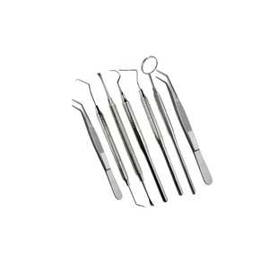Dental Examination Kit 8-Piece Stainless Steel Manual Dental Instruments Professional Reusable <b>Set</b> - Product Image 2