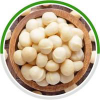 Nueces de Macadamia Premium de Vietnam, Orgánicas, Blanqueadas, Enteras, a Granel, para Exportación y Distribución Mundial