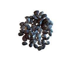 Export Quality Factory In Vietnam Competitive Price Selected Dried Passion Fruit <b>Seeds</b> <b>Packed</b> in 1kg Bag - Product Image 5