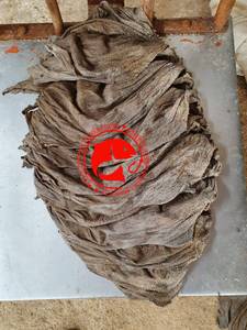 OMASUM de Res y Búfalo Seco Salado HALAL, Calidad Premium, Nutritivo, Alto en Proteínas, Carne Limpia, 12 Meses de Vida Útil, Para Amantes de la Carne - Product Image 6
