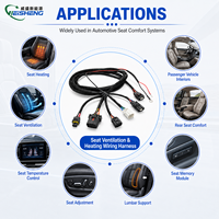Arnés de Cableado Electrónico para Ventilación y Calefacción de Asientos de Auto Weisheng ISO9001, 18AWG, Reemplazo OEM, IP67