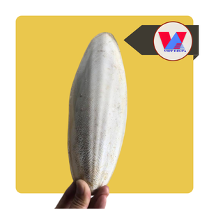 Hueso de Sepia Natural Recortado y Seco, el Más Vendido, para Recortar el Pico de Aves y Loros, Juguete Masticable de Calcio para Mascotas - Product Image 1