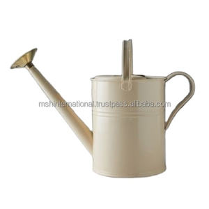 Arrosoir pour plantes d'intérieur en acier inoxydable, vente en gros - Product Image 5