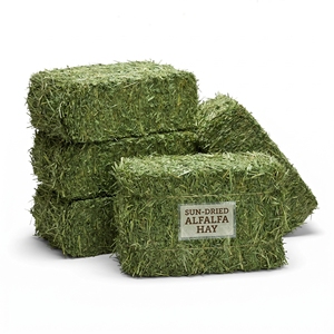 Heno de Alfalfa Premium para Alimentación de Ganado, Heno Forrajero Seco de Alta Nutrición para Caballos, Ganado Vacuno, Animales Lecheros, Suministro al por Mayor, Exportación - Product Image 1