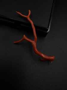 Cuentas de Coral Rojo de Rajasthan 100% Naturales de Alta Calidad, Gema en Bruto para Joyería, Forma de Árbol, 14ct - Product Image 3