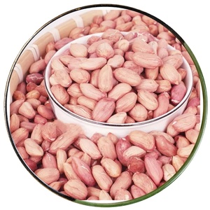 เมล็ดถั่วลิสงจาวา ราคาประหยัด สด สะอาด คัดเกรด บรรจุถุงพลาสติก สำหรับทำขนม ถั่วบดเนย และอุตสาหกรรมน้ำมัน - Product Image 1