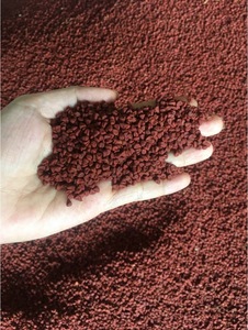 Graines d'annatto séchées de qualité export pour les commerçants en épices, les usines alimentaires et les utilisations culinaires - Product Image 5