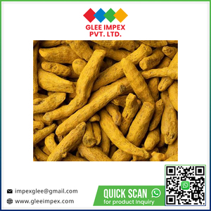 Cúrcuma Cruda Seca de Alta Calidad Directo de Fábrica, Raíz de Cúrcuma Natural Pura a Granel para Cocina y Cuidado de la Salud - Product Image 6