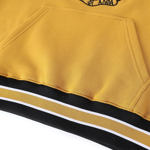 Sweat-shirt jaune à col rond pour homme Sorority Alpha |   Phi |   Alpha Regular Fit Tricoté en polyester/coton Couleur unie Brodé - Product Image 4