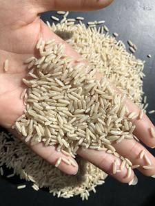 Riz brun biologique-Texture dure séchée à grain long certifié ISO de qualité supérieure du fournisseur en vrac du Vietnam au meilleur prix - Product Image 6