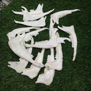 Cuchara para Zapatos de Madera de Mango Pequeña, Estilo Animal, Ecológica, Hecha a Mano, a un Precio Competitivo - Product Image 6