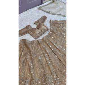 Lehenga Choli de poliéster para fiesta con lentejuelas y trabajo de Dori - Product Image 3