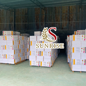 Anacardo orgánico de Vietnam Proveedor de granos W180/W240/W320/W450 LP DW BB Proceso tostado de exportación a granel-Mr. David WA 0084 986778999 - Product Image 6