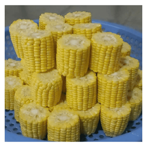 Maïs surgelé IQF, issu de grains de maïs sucré vietnamien, pour soupes, plats sautés et recettes de repas préparés, Vietnam - Product Image 3